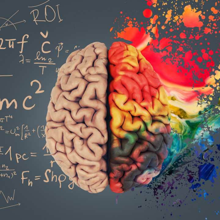 Different parts of the brain. Tech-minded vs Reflective-minded Two halves of a brain - the left side is analytical and calculated, while the right side is more free-form and creative. Reciprocal inhibition